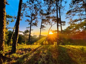 486122796_9787331044668357_5338300246951078863_n