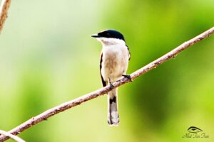 555554883_25017524637889083_8923795731392694704_n