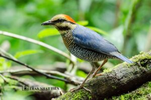 555942671_25017524557889091_4622052702359394081_n