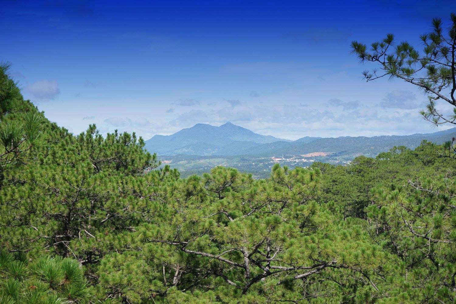 557665466_25015441801430700_8761847172650307223_n